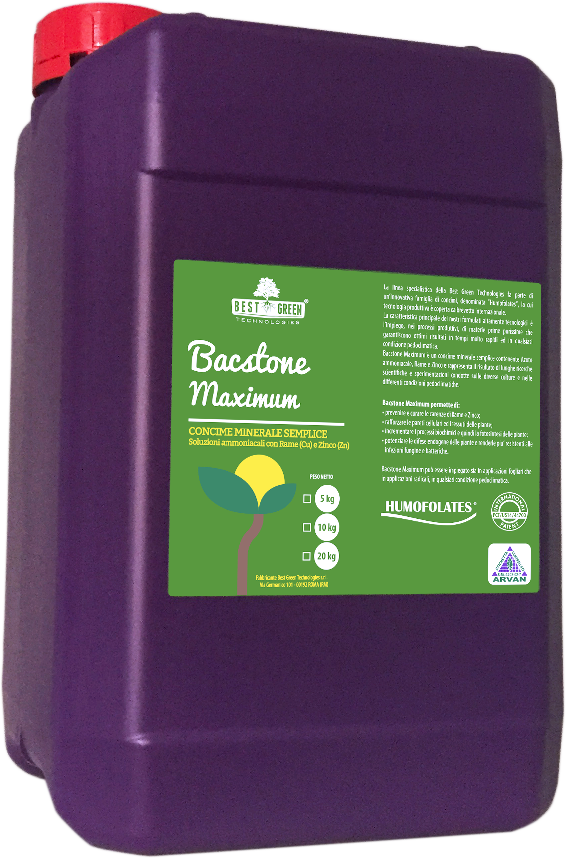 Bacstone Maximum